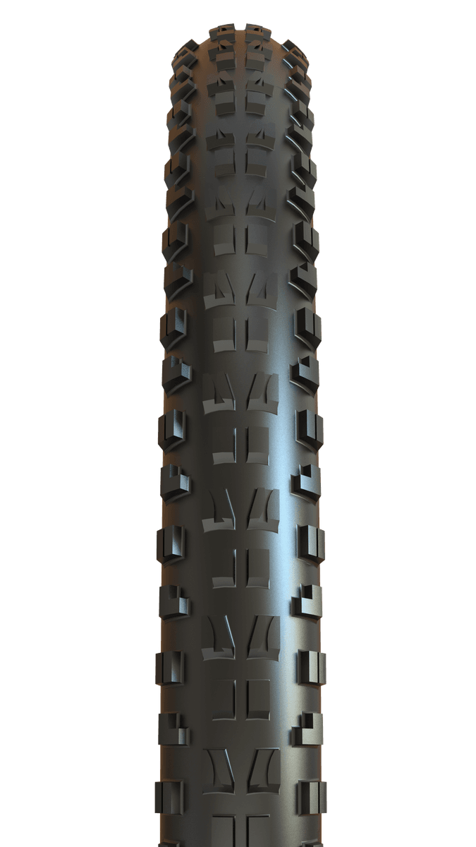 Maxxis Minion DHF 24