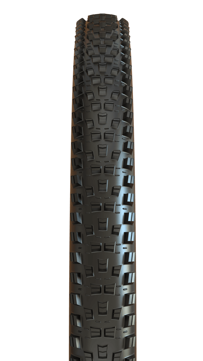 Maxxis Forekaster 29