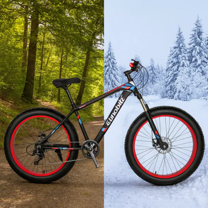 Hovedbilde Eurobike - fatbike - sort og hvit