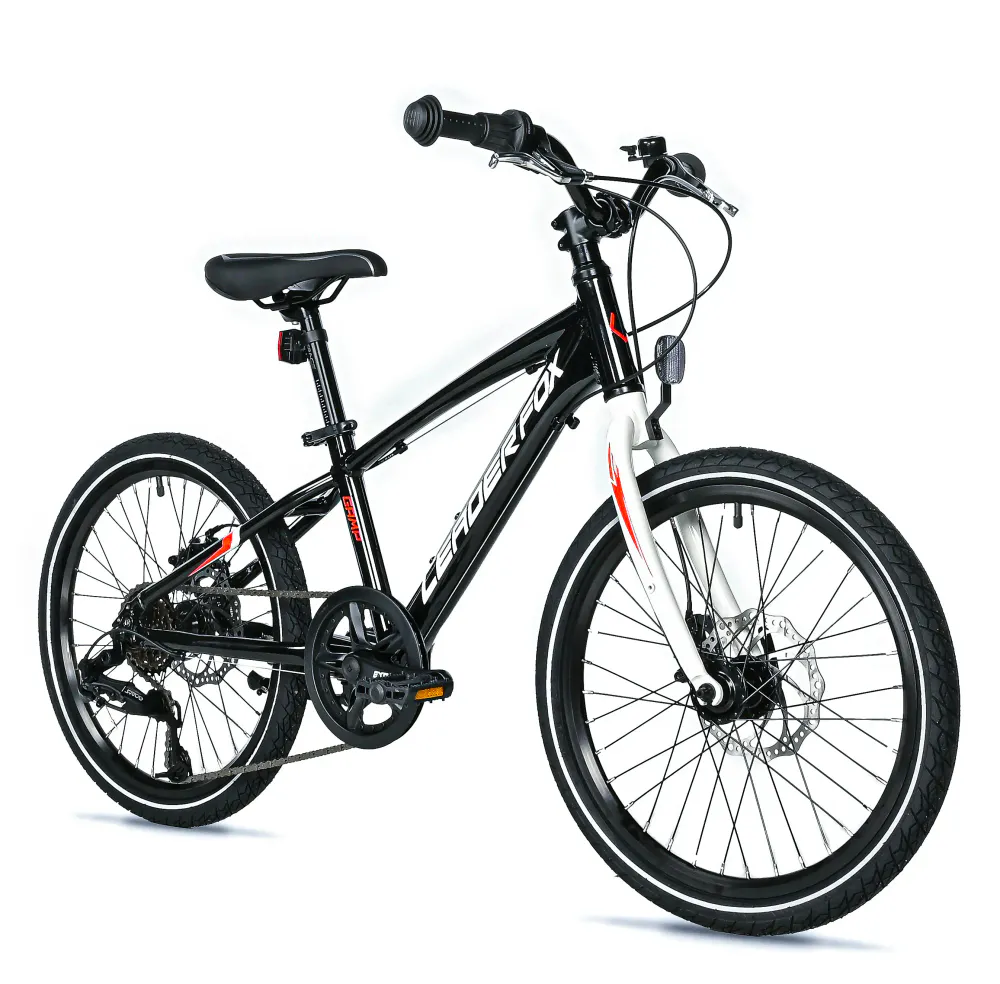 Leader Fox GAMP 20