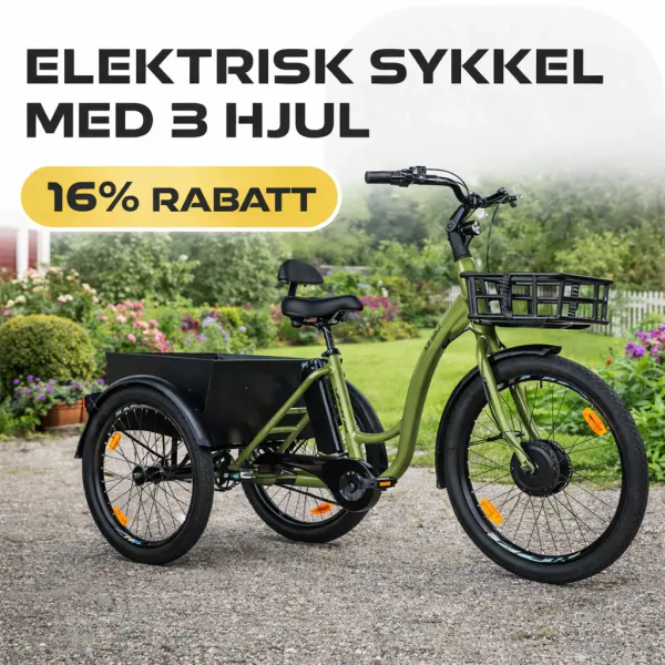 elsykkel elekstrisk sykkel med tre hjul trehjulssykkel kampanje