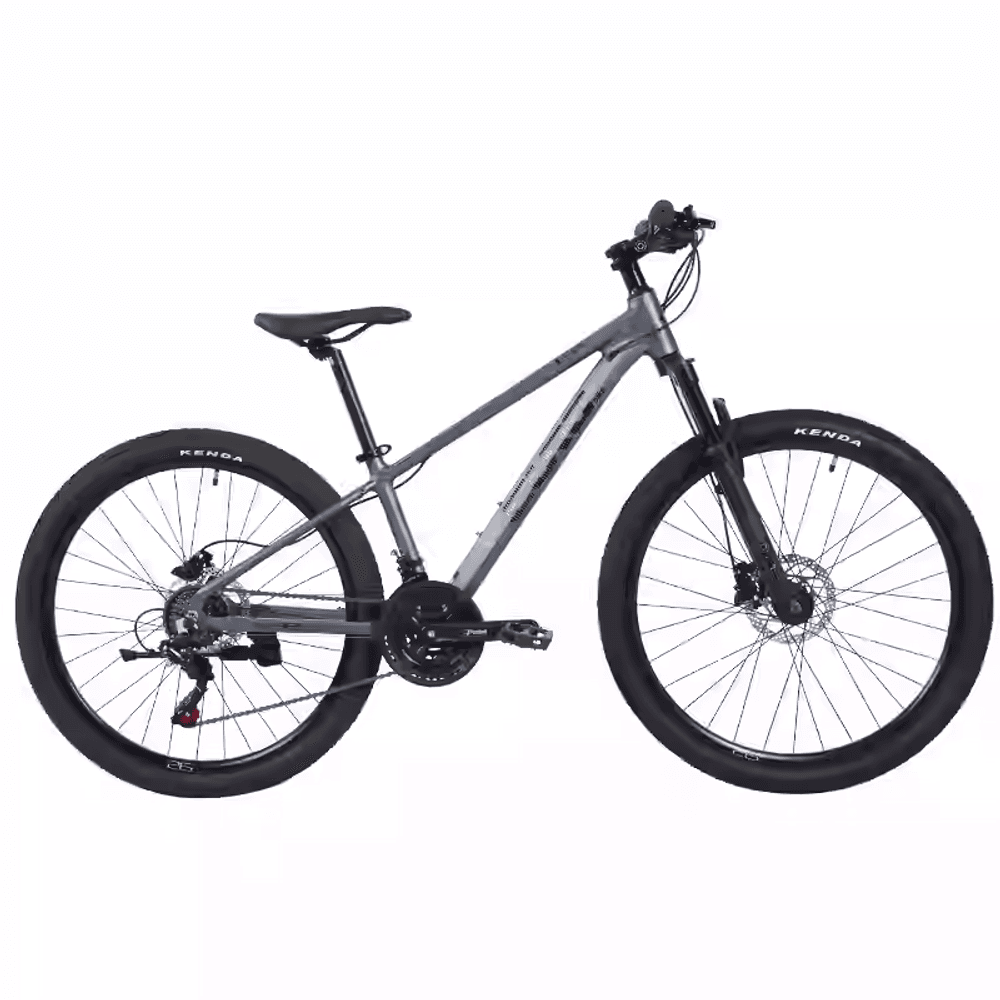 Mountain bike 26